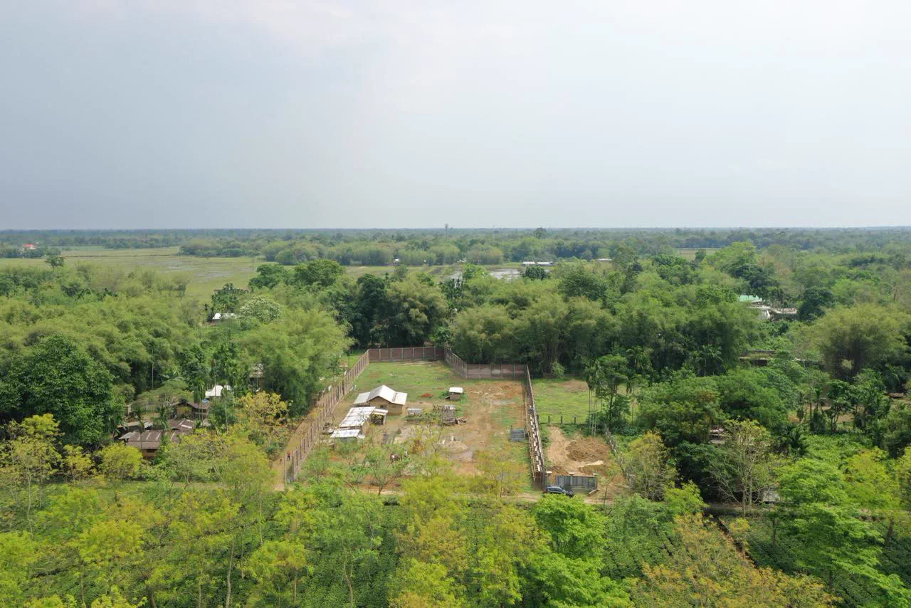 Drone view of the walled plot set among smallholdings, bamboo and tea, with open floodplain on the horizon
