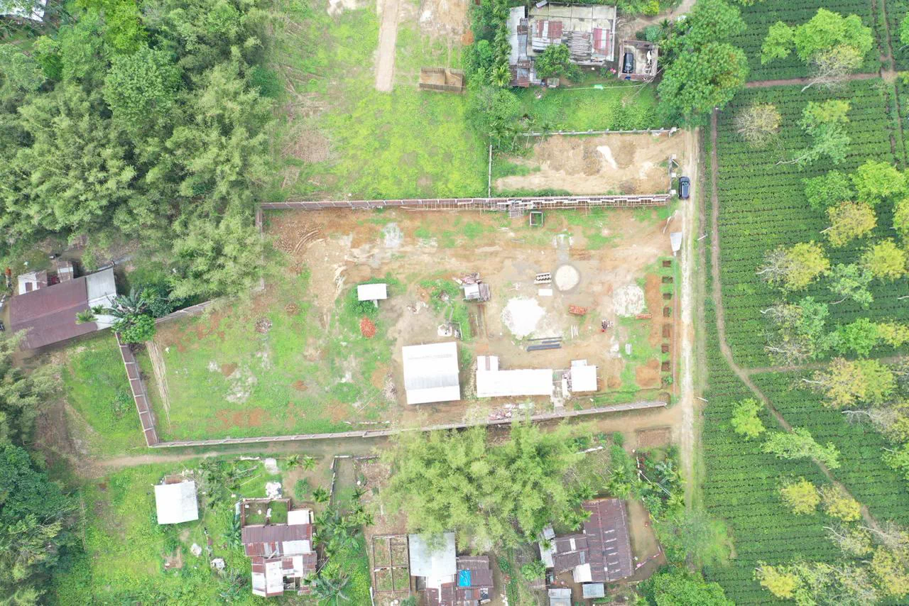Straight-down drone view of the cleared plot, site sheds and stacked materials, tea rows running along one edge