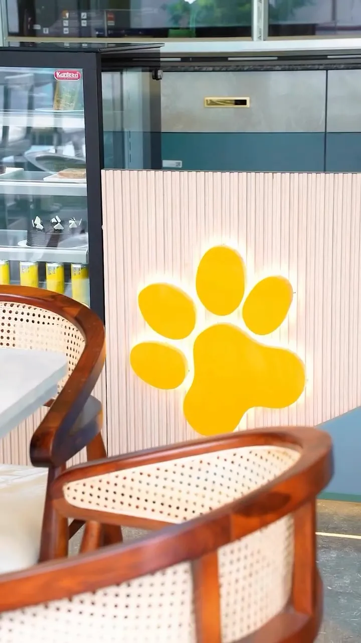Built: the backlit paw print at eye level on the fluted counter face, cake cabinet alongside