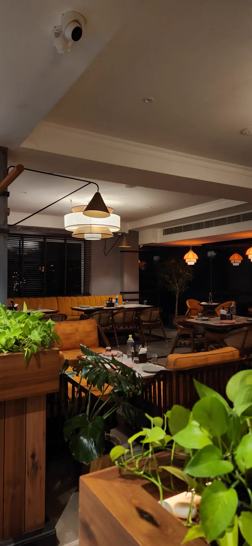 The dining room at night from behind a planter